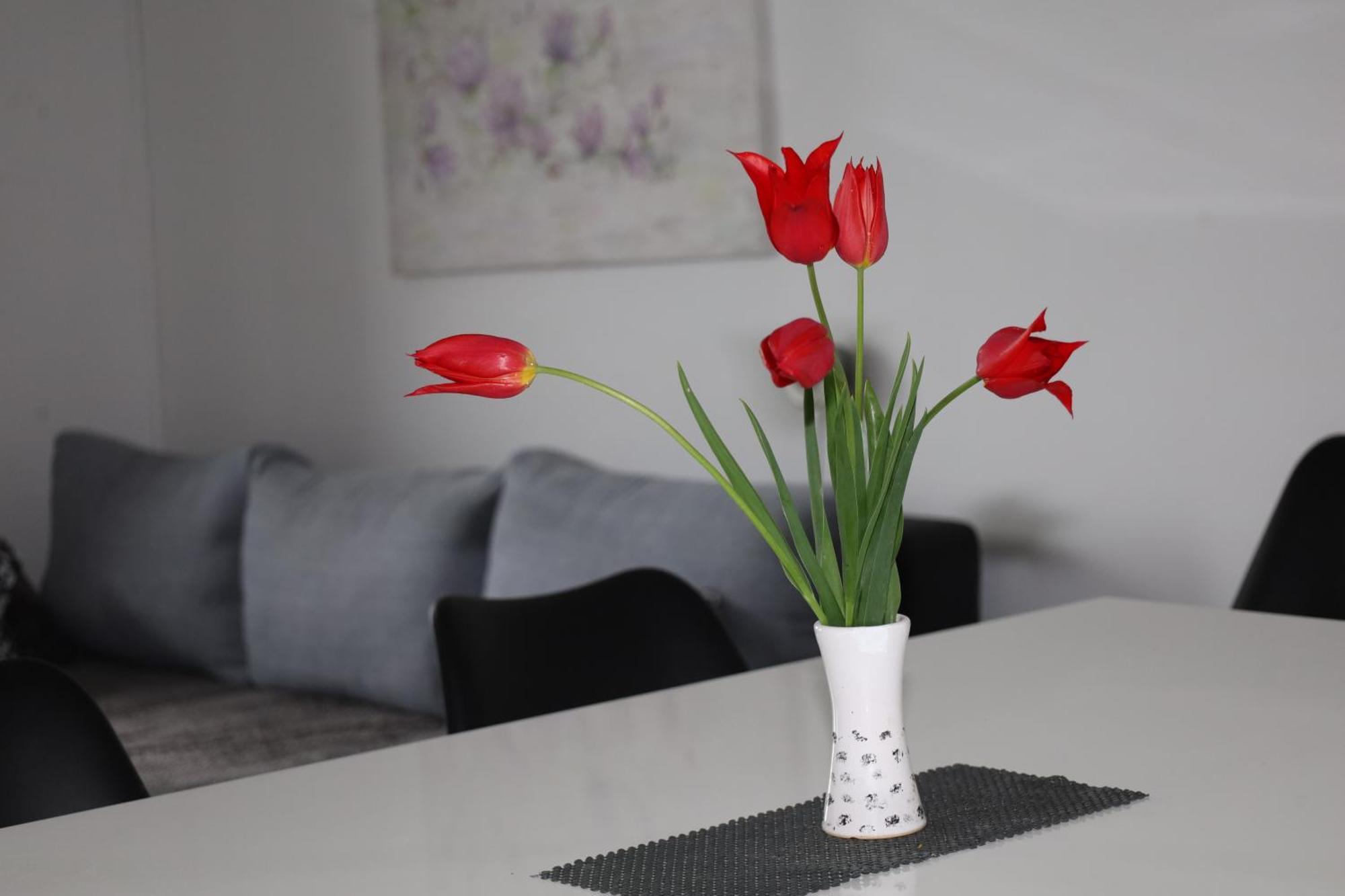 Apartma Javorscek โบเว็ก ภายนอก รูปภาพ